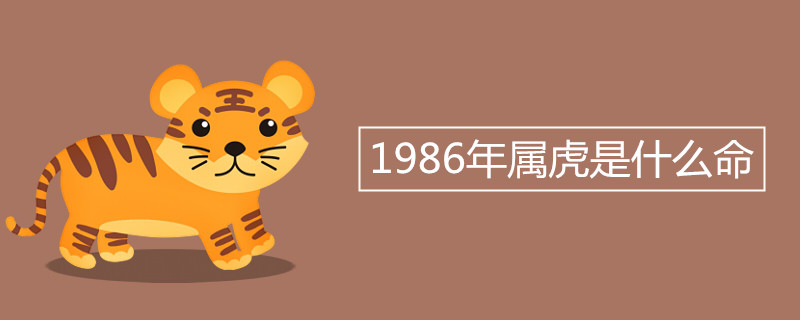 1986年属虎是什么命