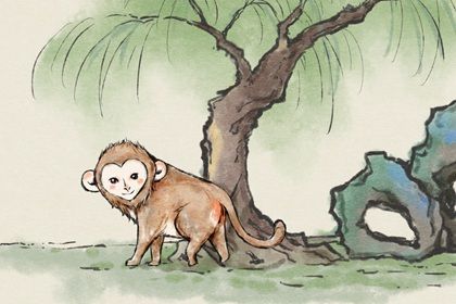 属猴1980年出生什么命  金猴之命