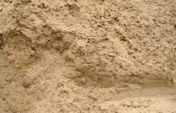 沙中土命是什么意思
