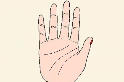 手相分析两手都是川字掌的女人,两手川字掌纹的女人手相