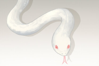 梦见白蛇是什么意思