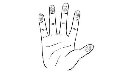 手指簸箕和斗的说法有哪些,关于手上斗和簸箕的说法