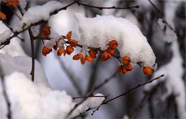 关于立冬的诗词有哪些