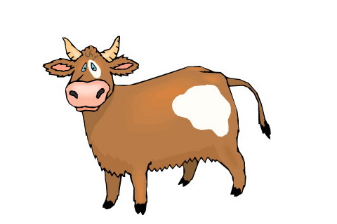 1961年属牛的幸运颜色 61年属牛2021年幸运色