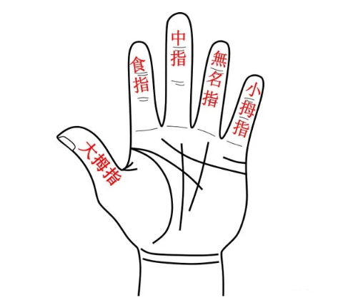手相预测_人的五根手指分别代表什么关系_怎么从手指看自己与亲朋好友的关系