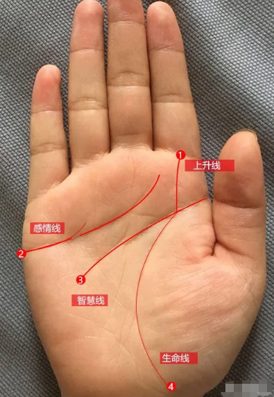 手相预测_相术师解析手上的纹路的秘密,手相罕见纹路