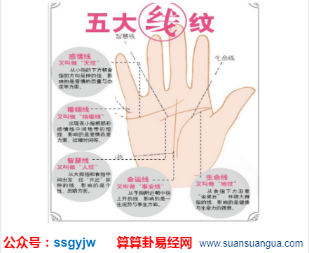 看手相预测_分析手指的簸箕和螺究竟怎样组合才是好命人(手相),手相螺和簸箕的说法