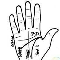 手相：手指纹理怎么样,手指纹看手相
