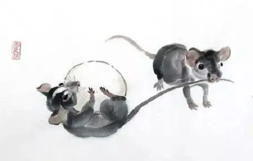 鼠和鼠相配婚姻如何,鼠和猪相配婚姻如何