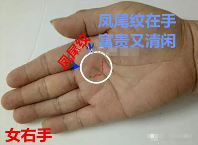 看相预测网_解析手有元宝纹指短掌长的手相（富贵）,什么样的手相是元宝纹