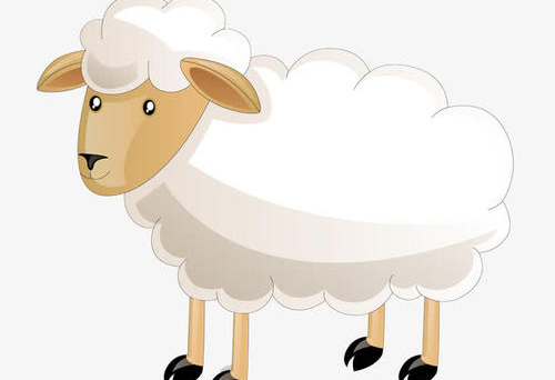 属羊的今年多大2021 属羊的人2021年几岁了,属羊的今年多大2021 属羊的人2021年几岁了呀