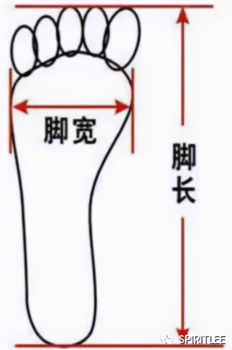 脚型分为哪几种类型,脚型分为哪几种类型图片