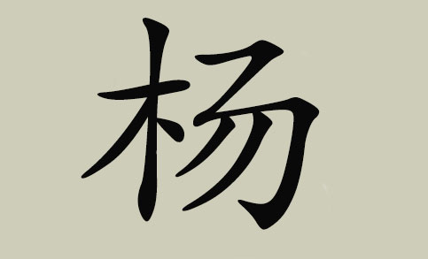 杨姓的由来 杨姓的名人有哪些,杨的姓氏来源和历史名人