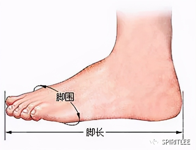 脚型分为哪几种类型,脚型分为哪几种类型图片