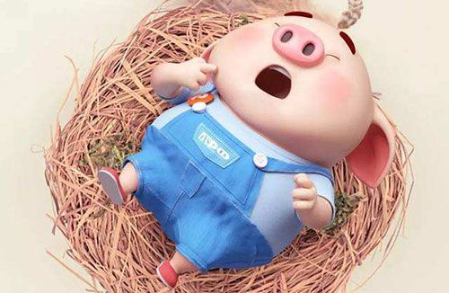 梦见喂猪是什么征兆 梦到喂猪好不好,梦见喂猪是什么征兆 梦到喂猪好不好呀