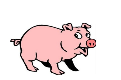 1971年属猪的幸运颜色 71年属猪2021年幸运色