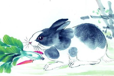 兔和鼠相克吗 鼠和兔配对分析