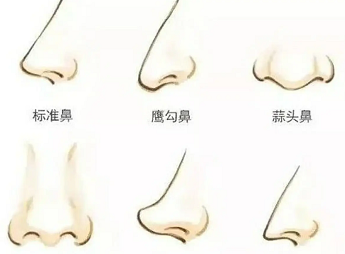 女人六种鼻子好命图