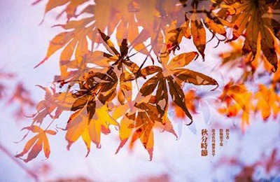 秋分是中国什么节？秋分是什么时候开始的？(图文)