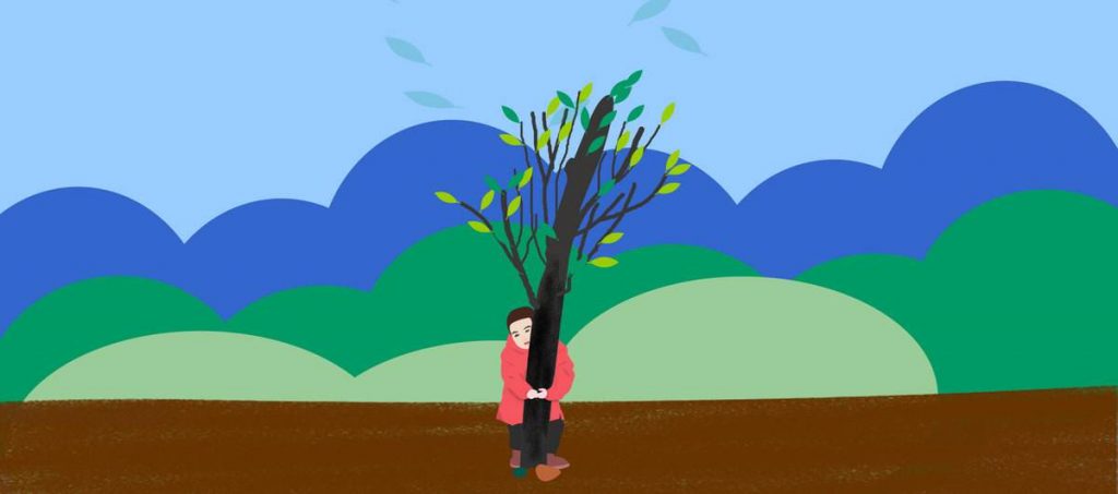 植树节为什么要种树