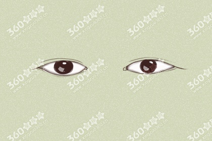 二十种眼形大全图解 女生眼型分类图解