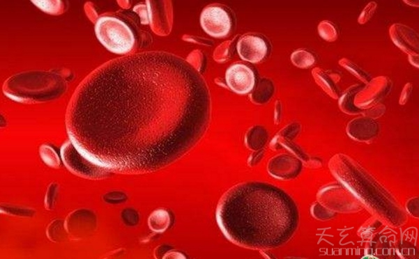 kidd血型到底是什么血型   kidd血型是一种很稀有血型