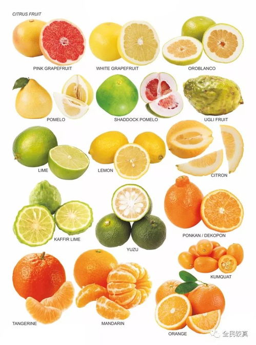 000种水果名字大全常见的水果,1000种水果名字大全常见的水果有哪些"