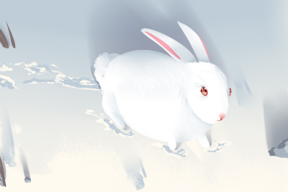 梦见又肥又大的兔子有什么预兆