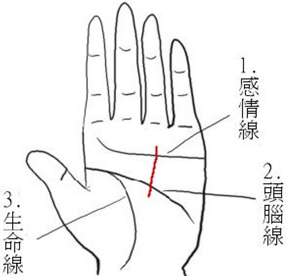手相图解：从手掌心太阳线看知名度财气,掌纹的太阳线在左手还是右手