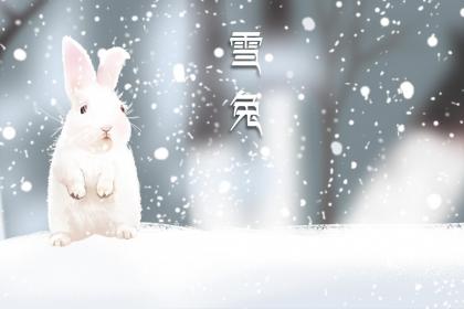 生肖属兔的人出生在腊八节是什么命格,生肖属兔的人出生在腊八节是什么命