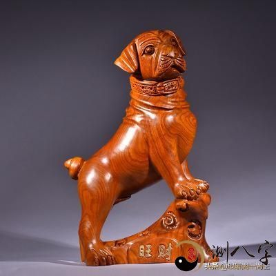 中国十二生肖的由来——狗,介绍十二生肖里的狗