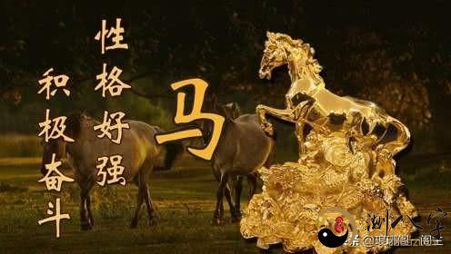 中国十二生肖的由来——马,十二生肖的故事 马