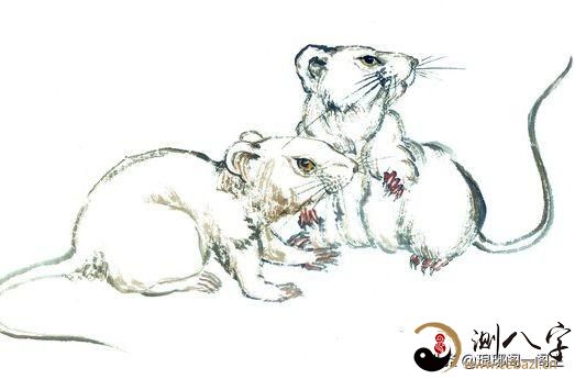 中国十二生肖的由来——鼠,十二生肖里面的鼠是怎么来的