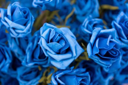 蓝玫瑰蓝色妖姬的花语及含义解 蓝色妖姬玫瑰花的含义