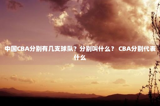 中国CBA分别有几支球队？分别叫什么？ CBA分别代表什么