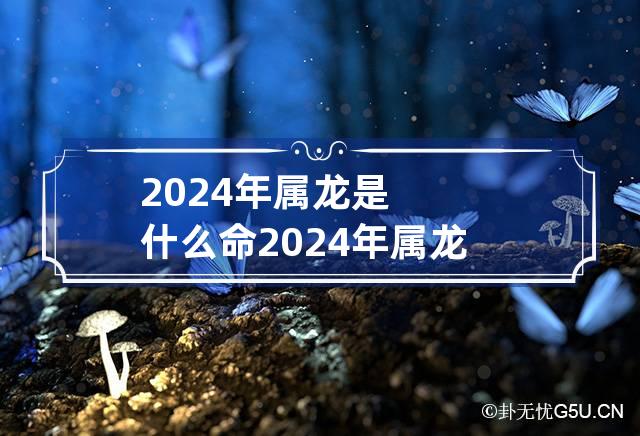 2024年属龙是什么命 2024年属龙是什么命金木水火土